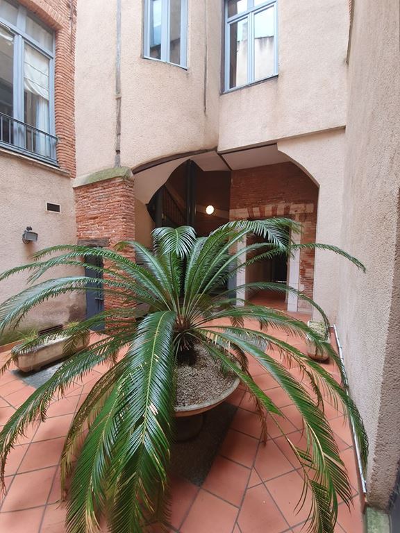 Appartement T3 TOULOUSE 314000€ OZENNE IMMOBILIER