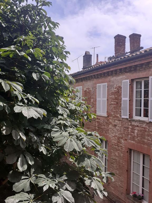 Appartement T4 TOULOUSE 1500€ OZENNE IMMOBILIER